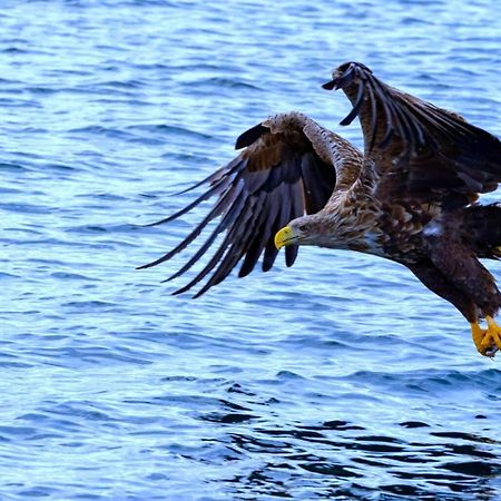 Ocean View Tind Lofoten Moskenes Kültér fotó